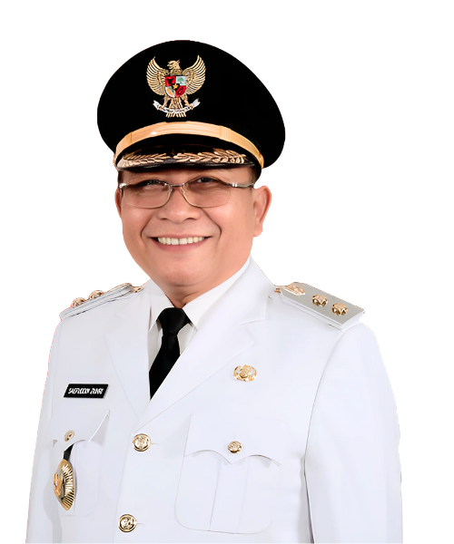 Wakil Walikota